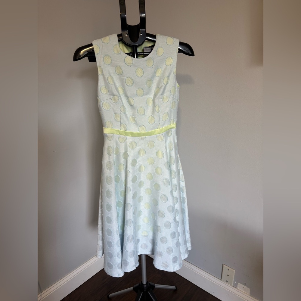 Winter Frost Fit and Flare Polka Dot Dress